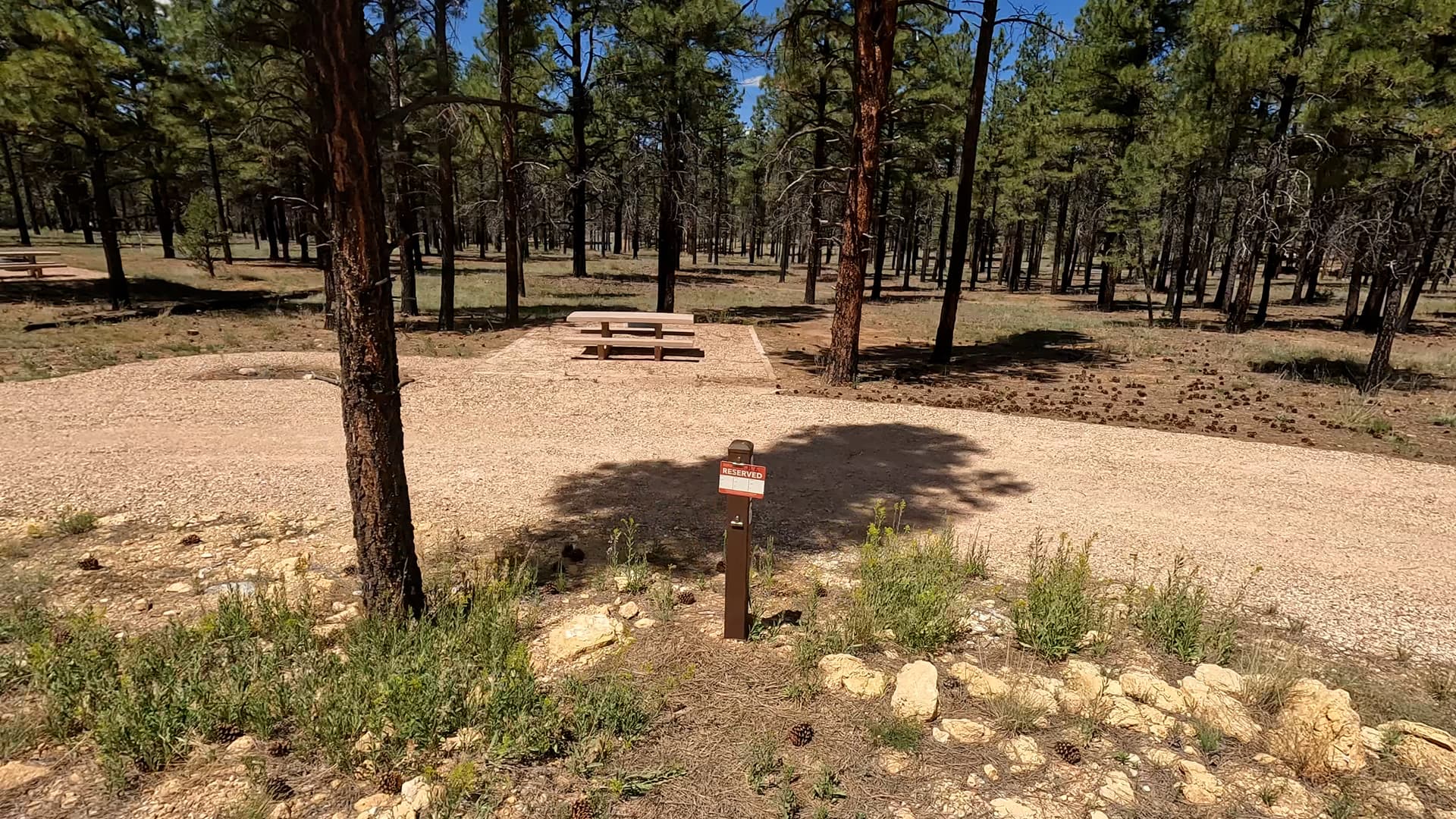 Site B6