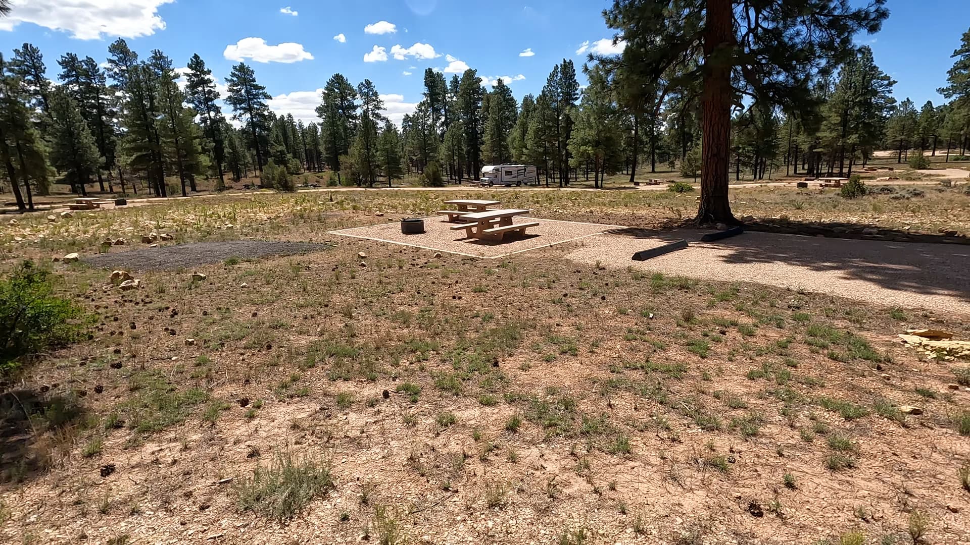 Site B33