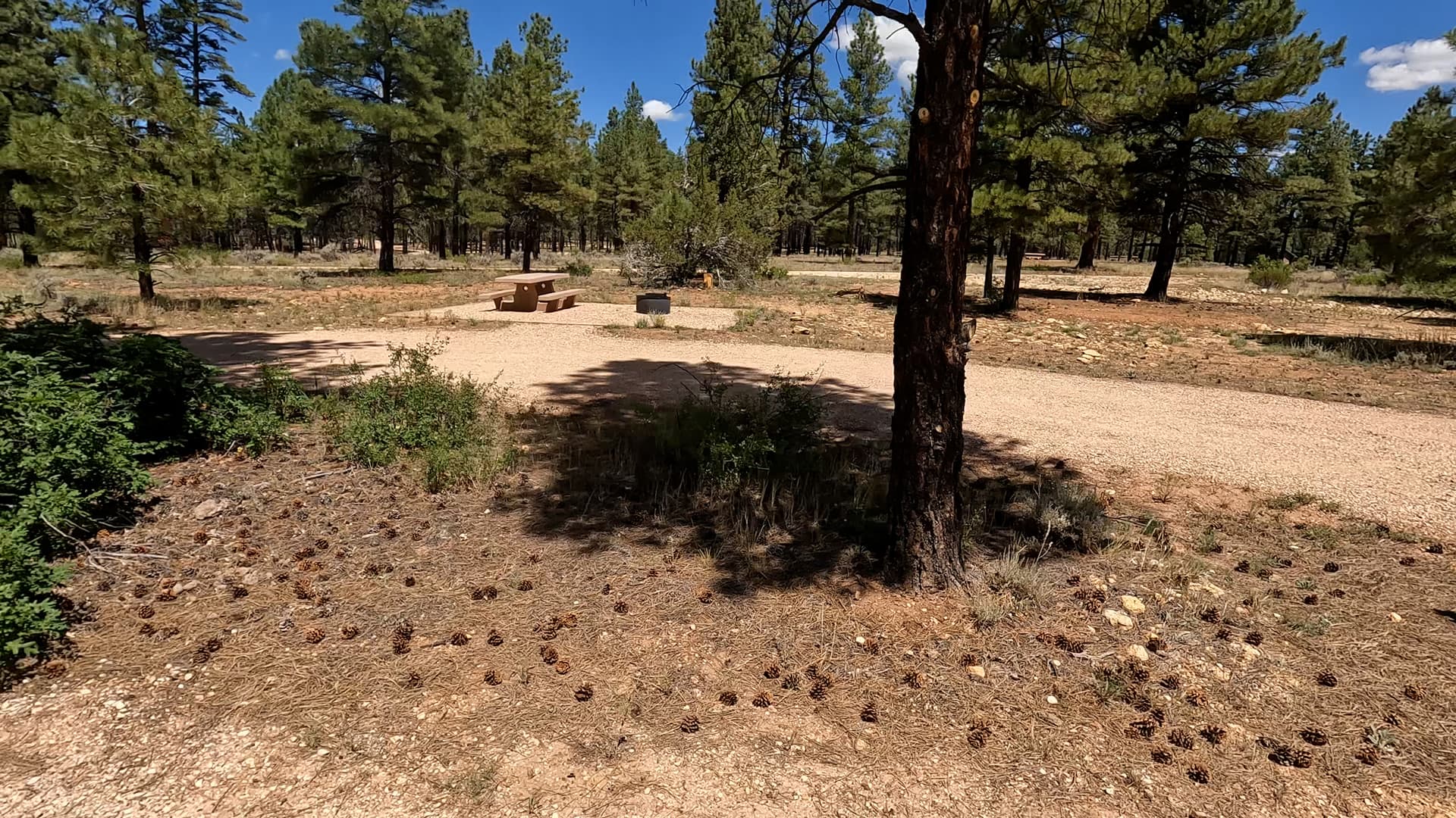 Site B32