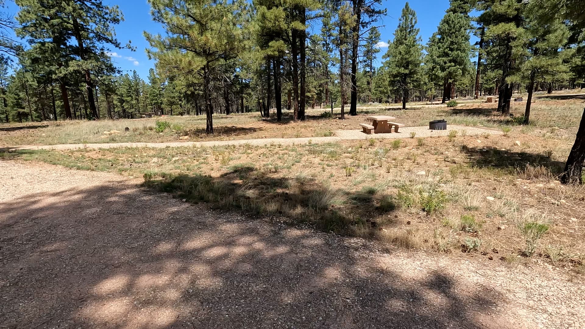 Site B23