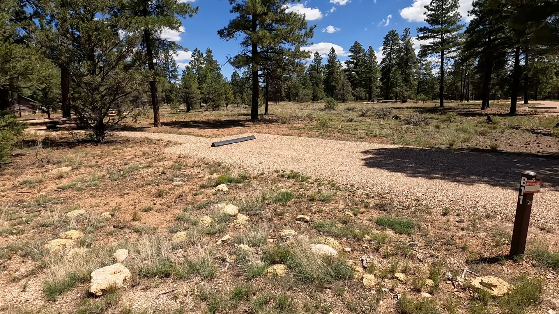 Site B11