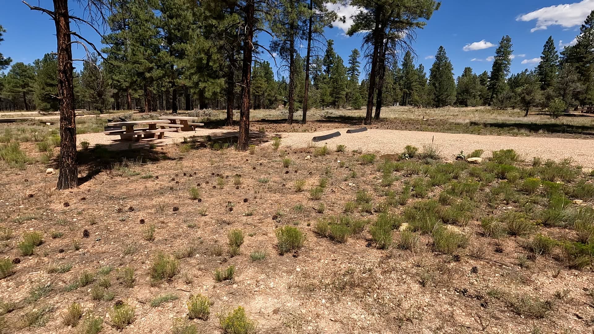 Site B14