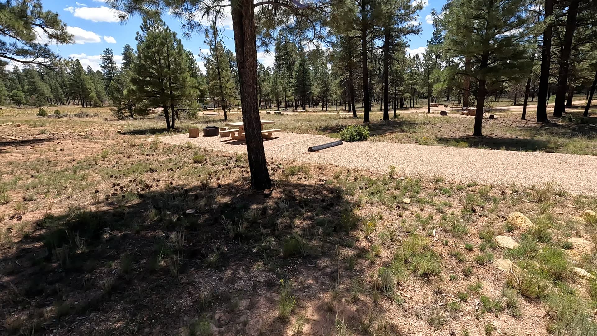Site B36