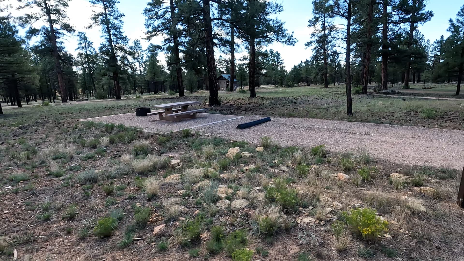 Site B38