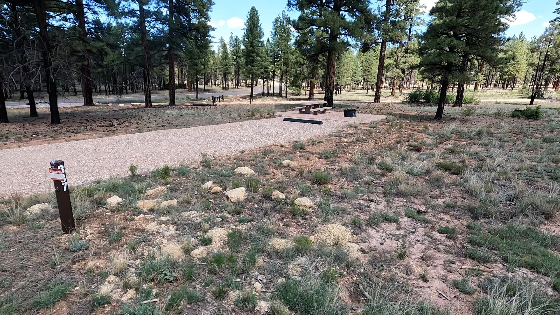 Site B37