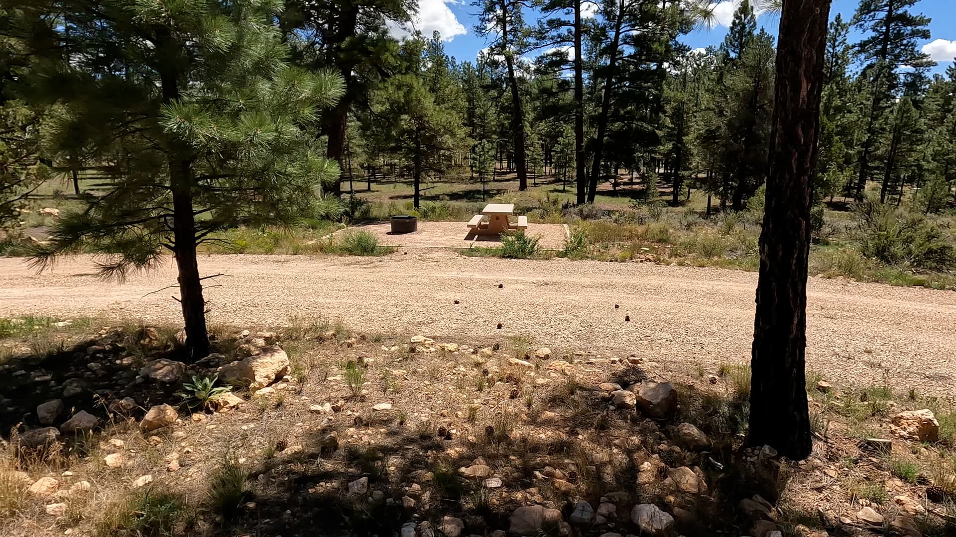 Site E8