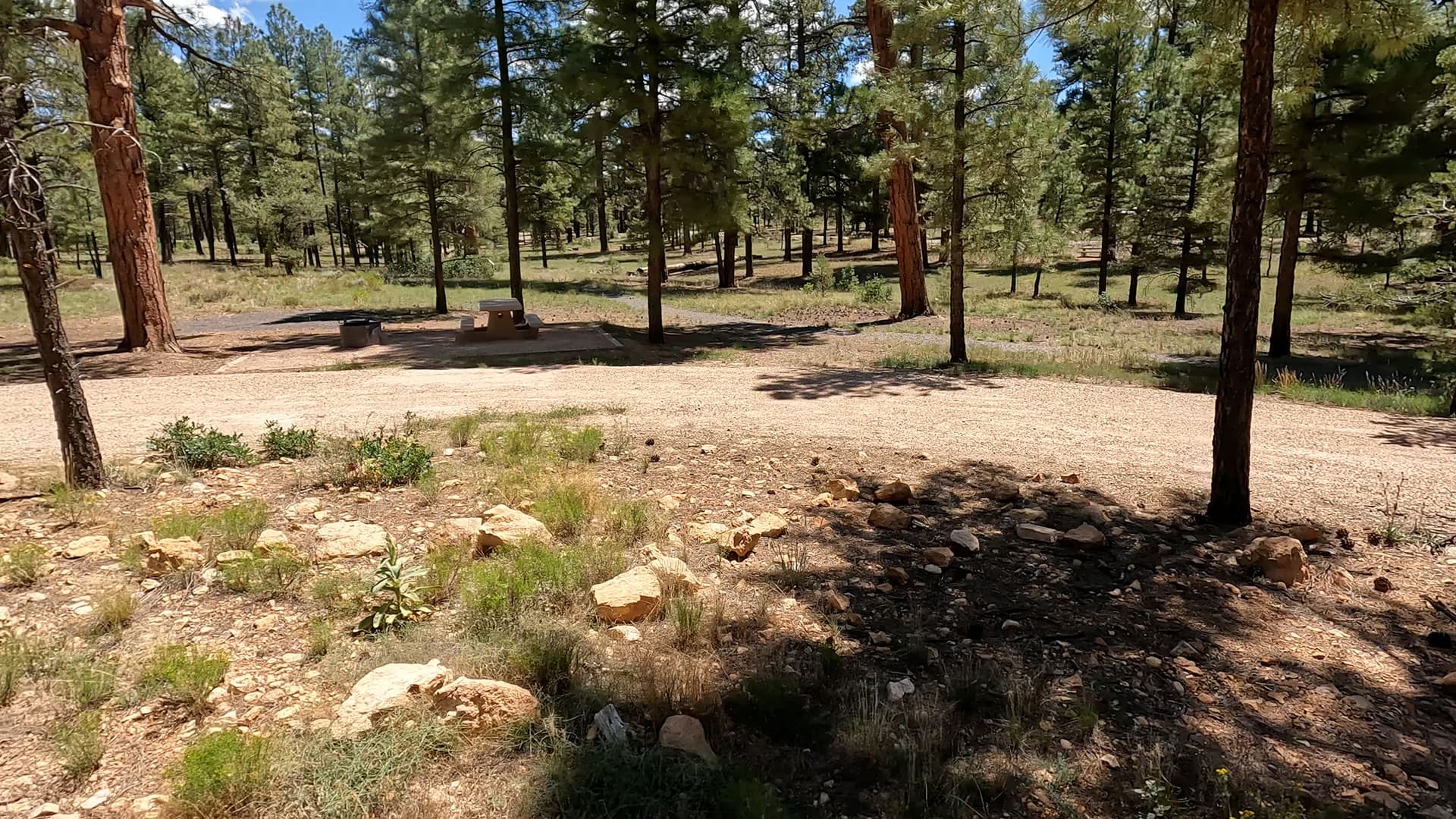 Site E13