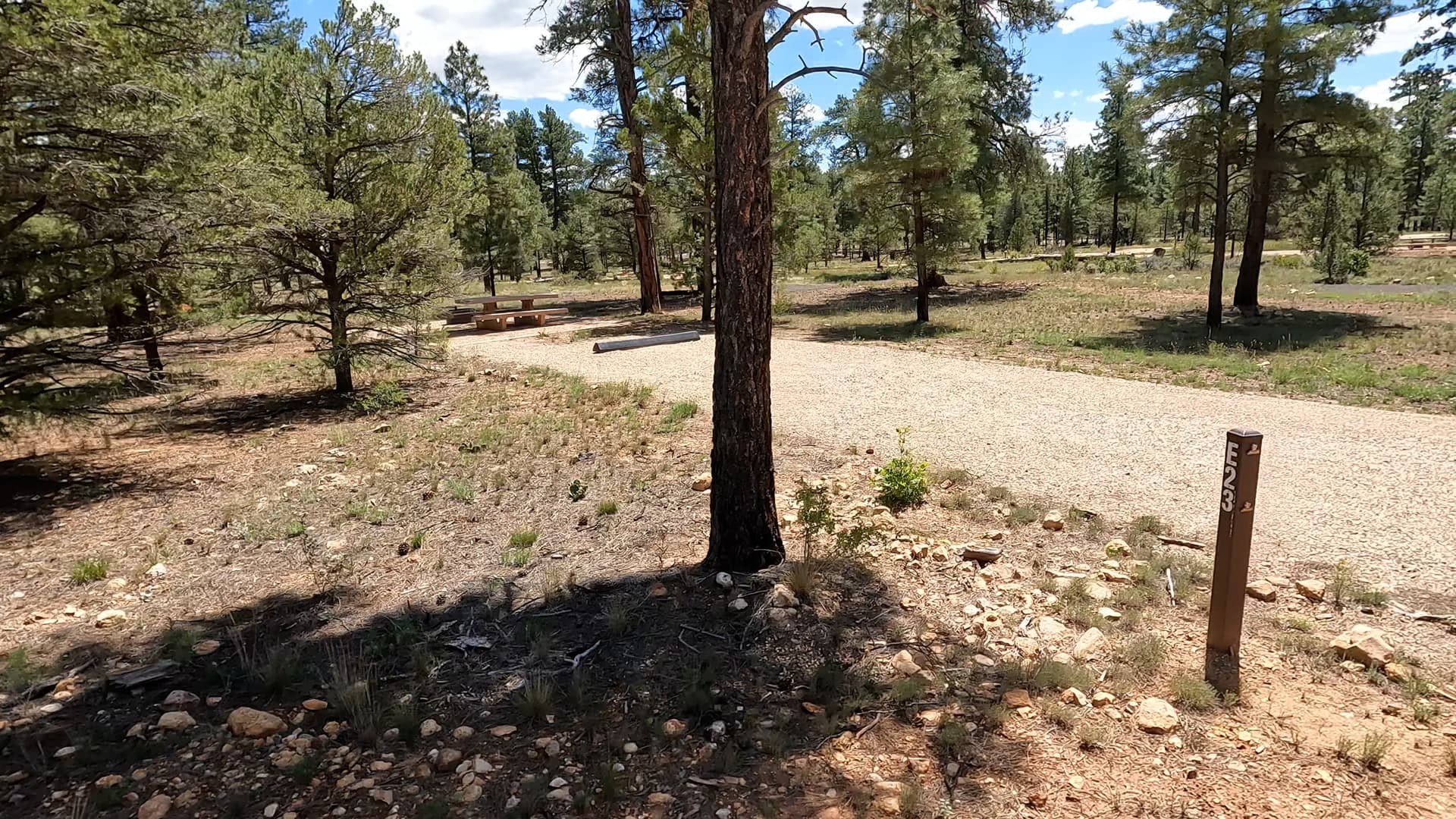 Site E23
