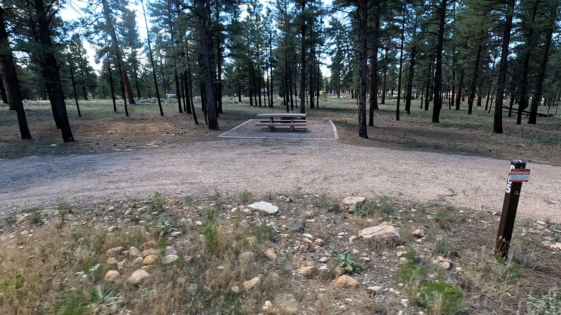 Site P5