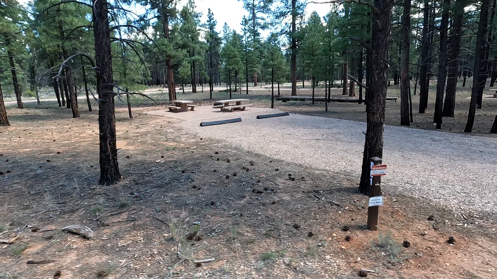 Site P1