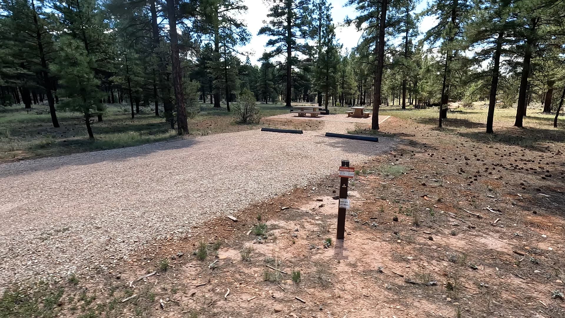 Site P11