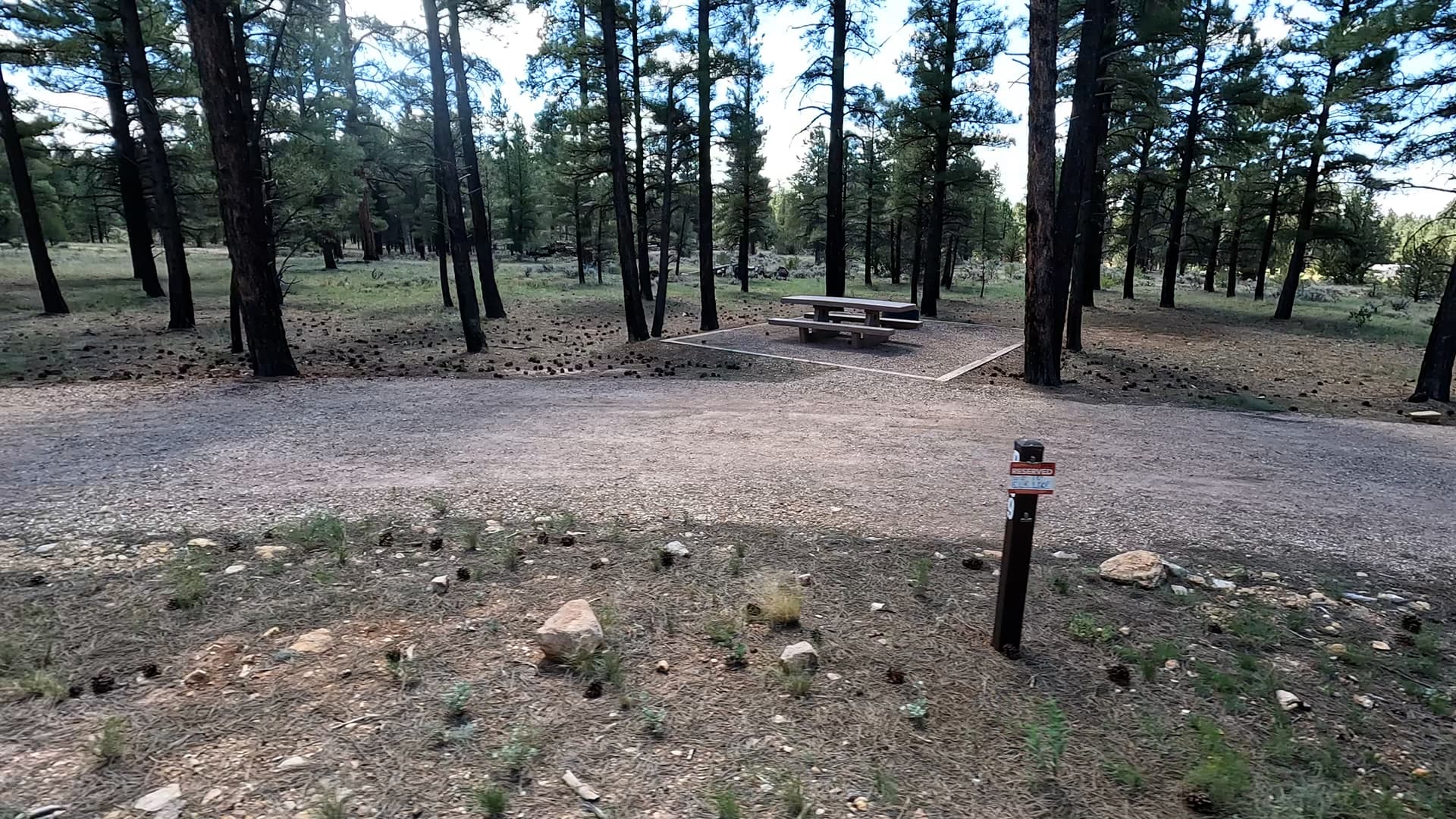 Site P9