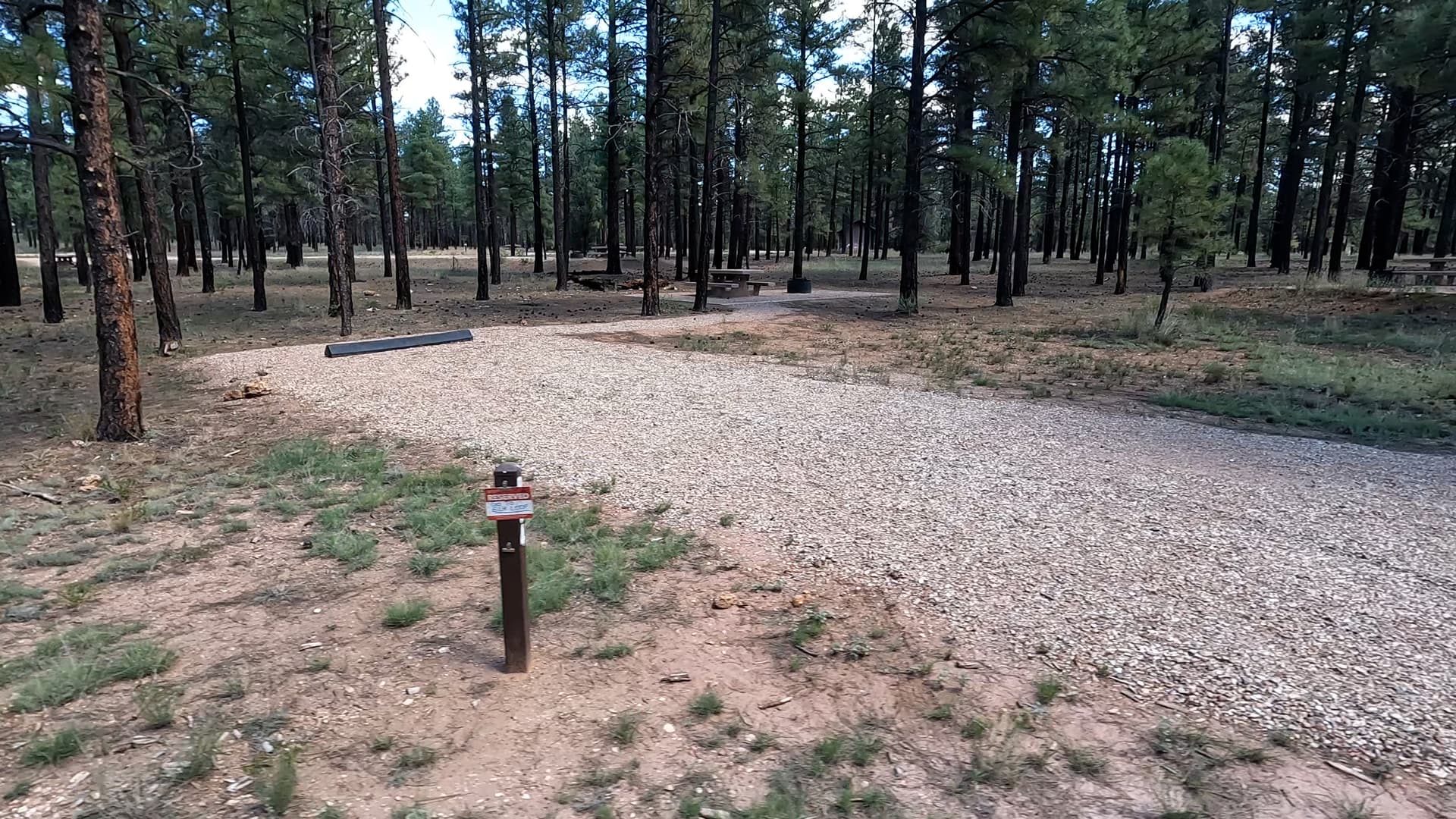 Site P4