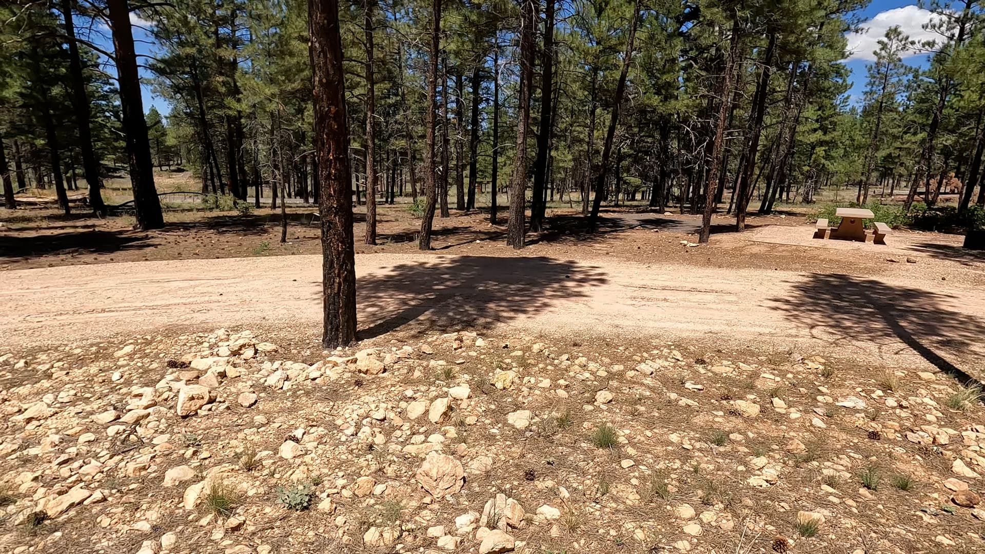 Site E20