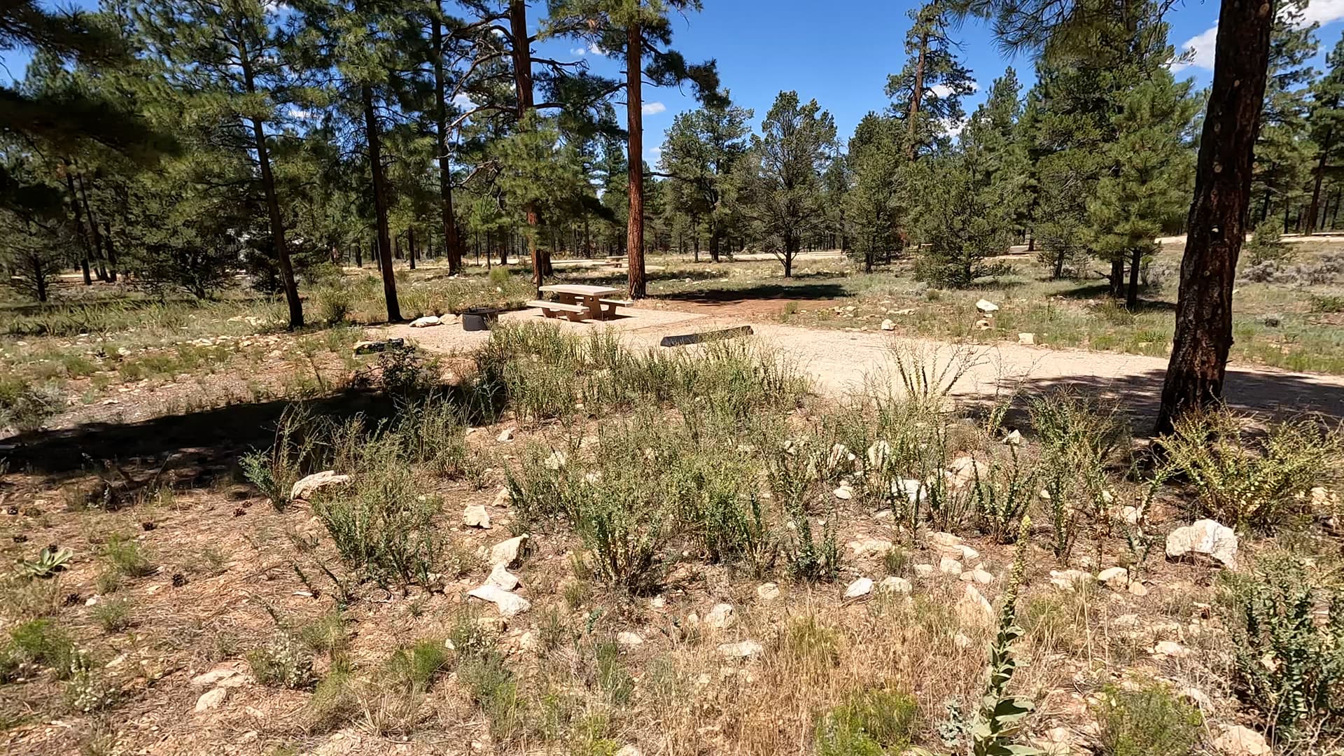 Site E9