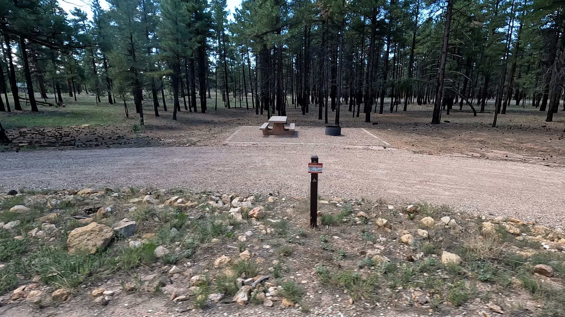 Site P3