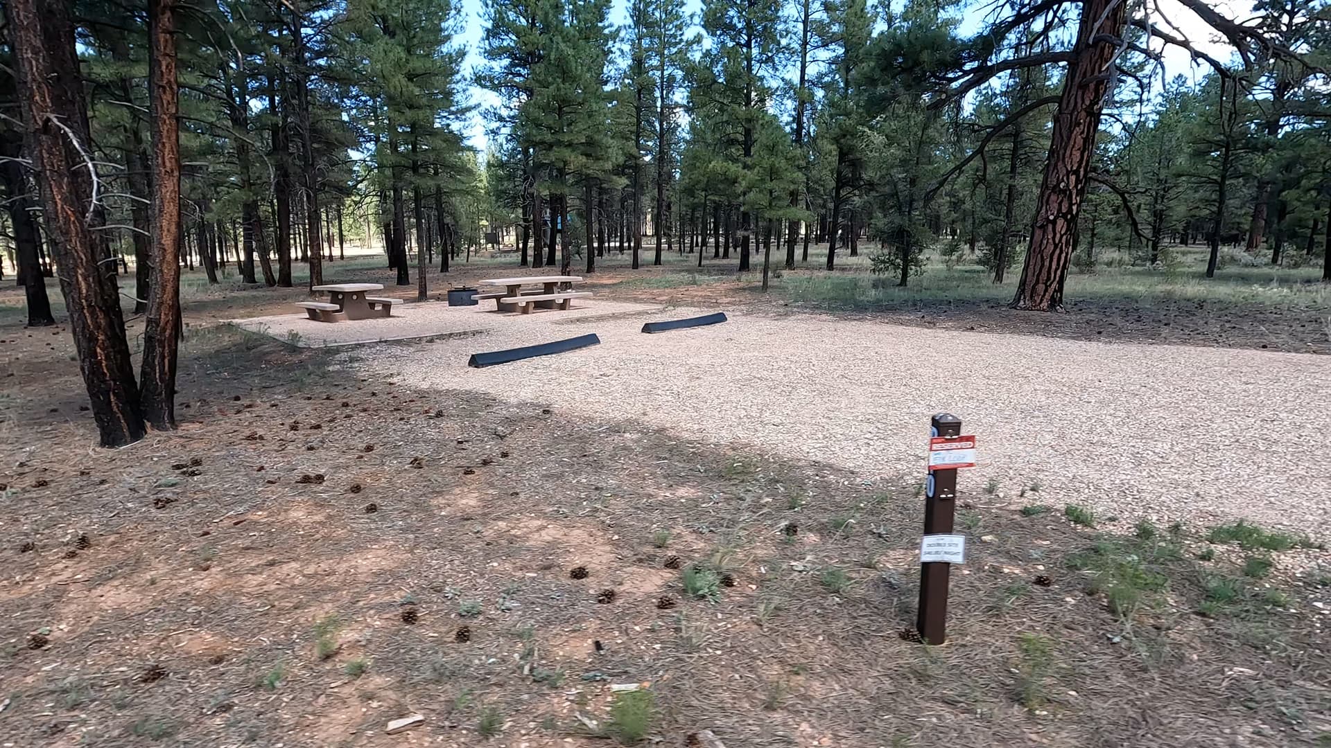 Site P10