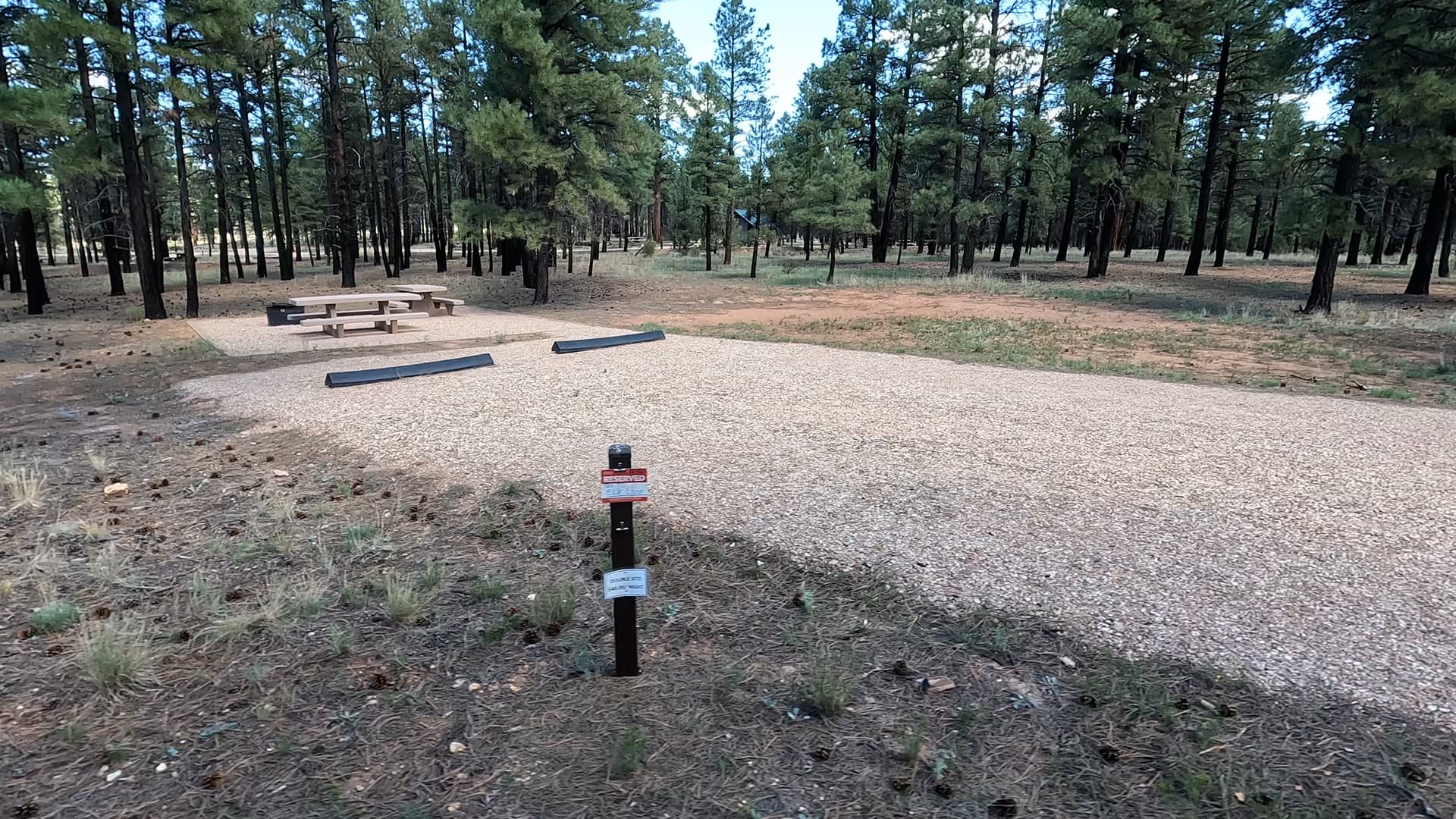Site P8