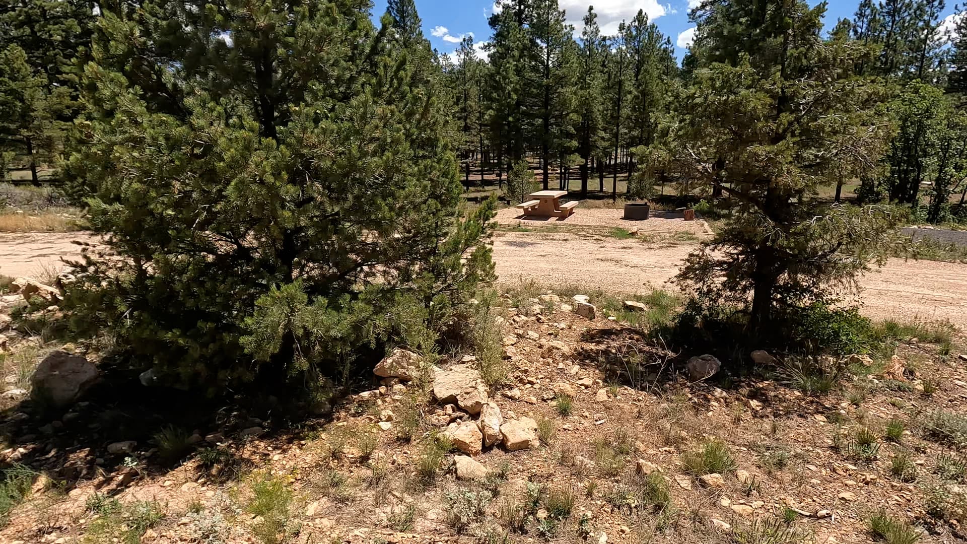 Site E6