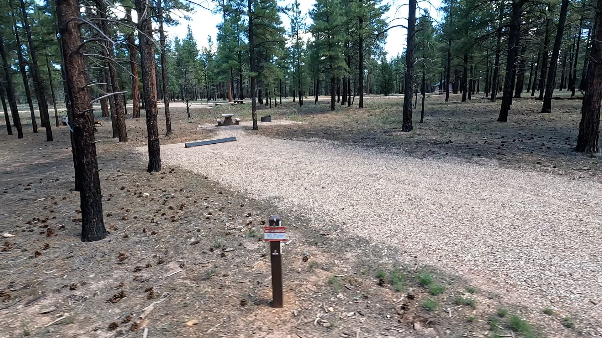 Site P2