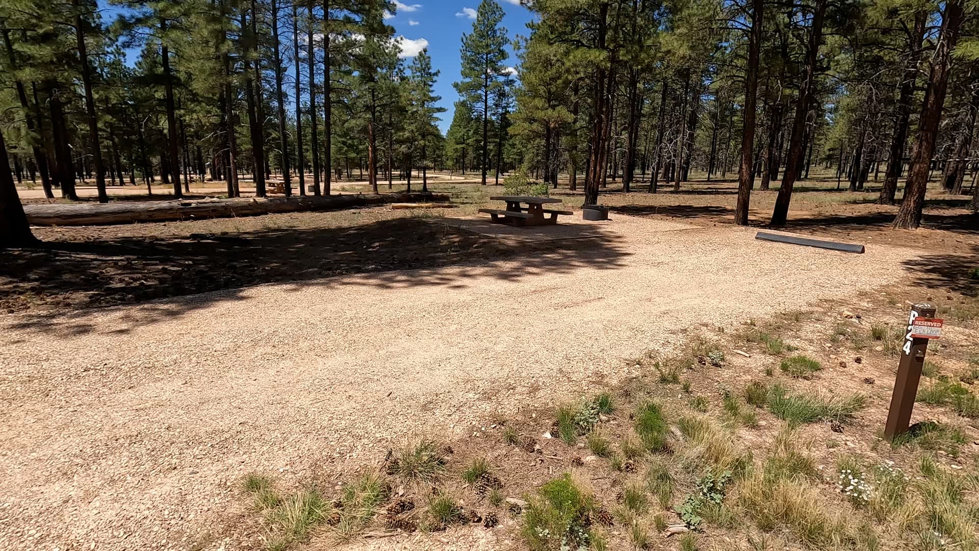 Site P24