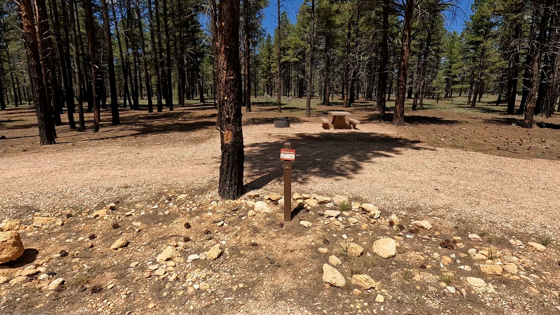 Site P20