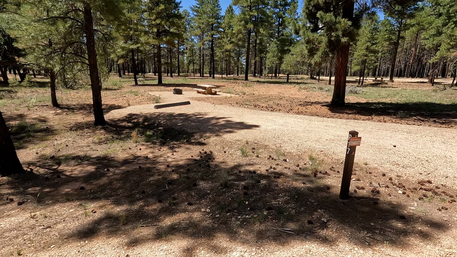 Site P17