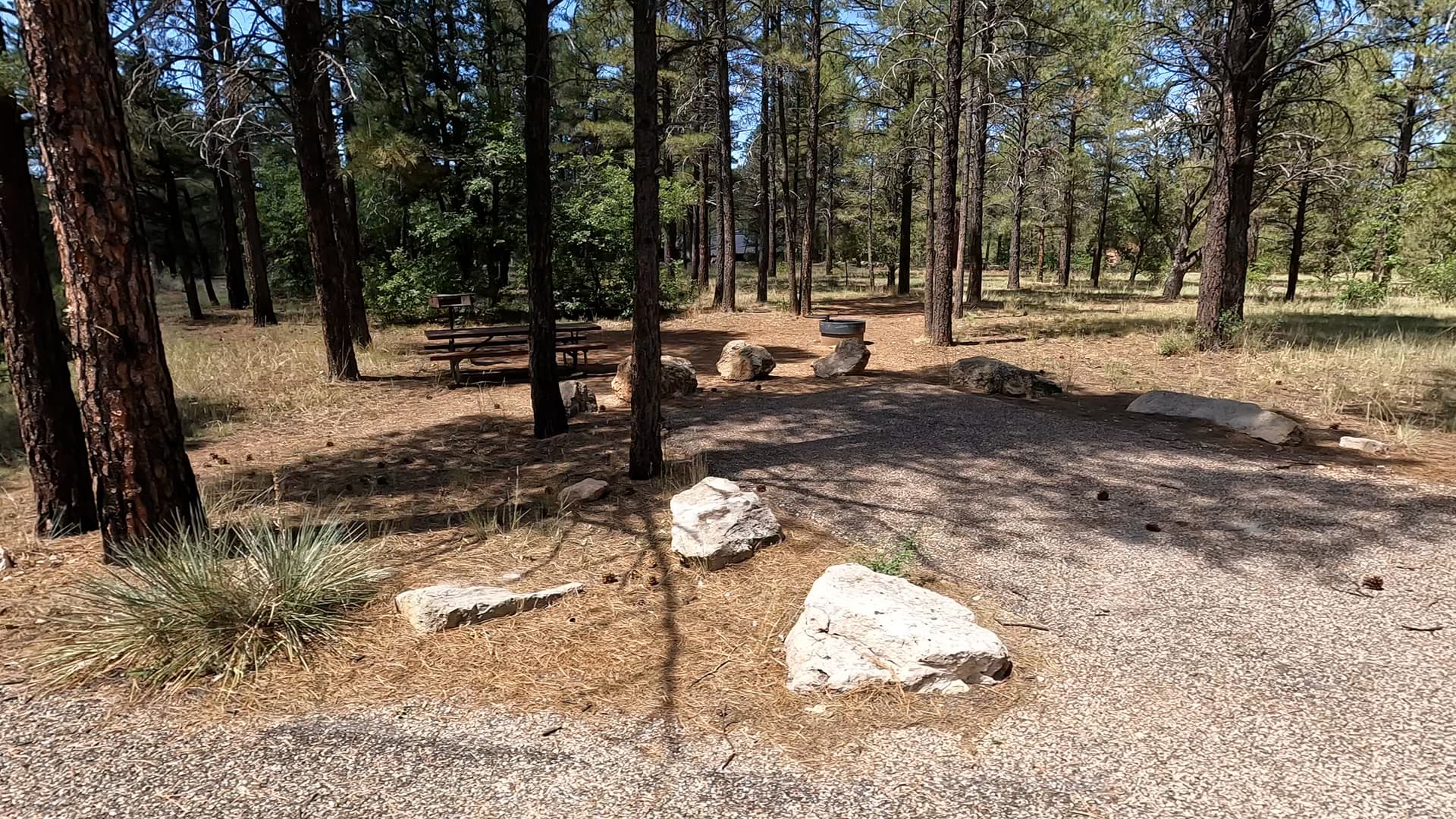 Site R11