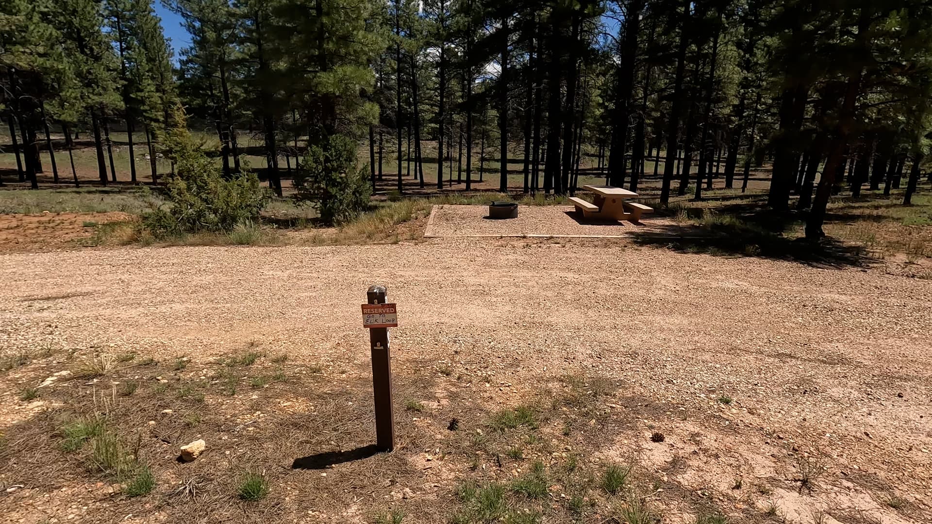 Site P13
