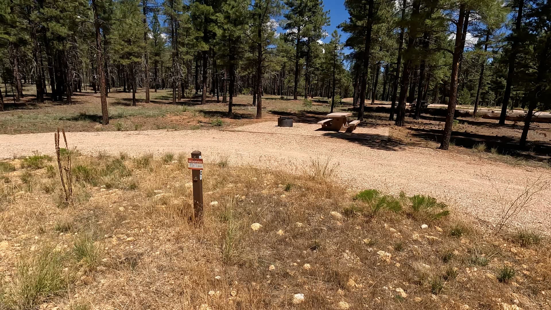 Site P26
