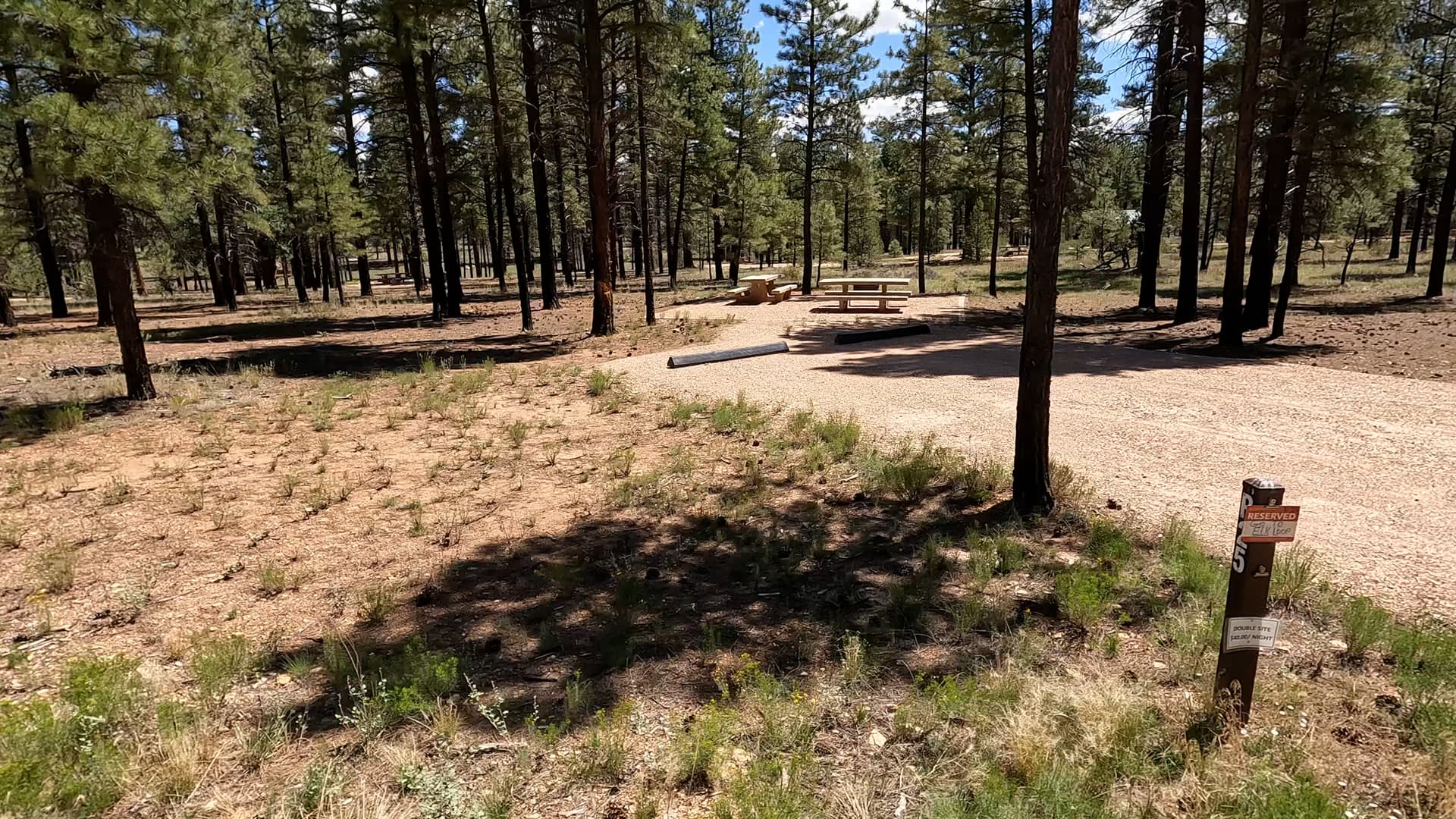 Site P25