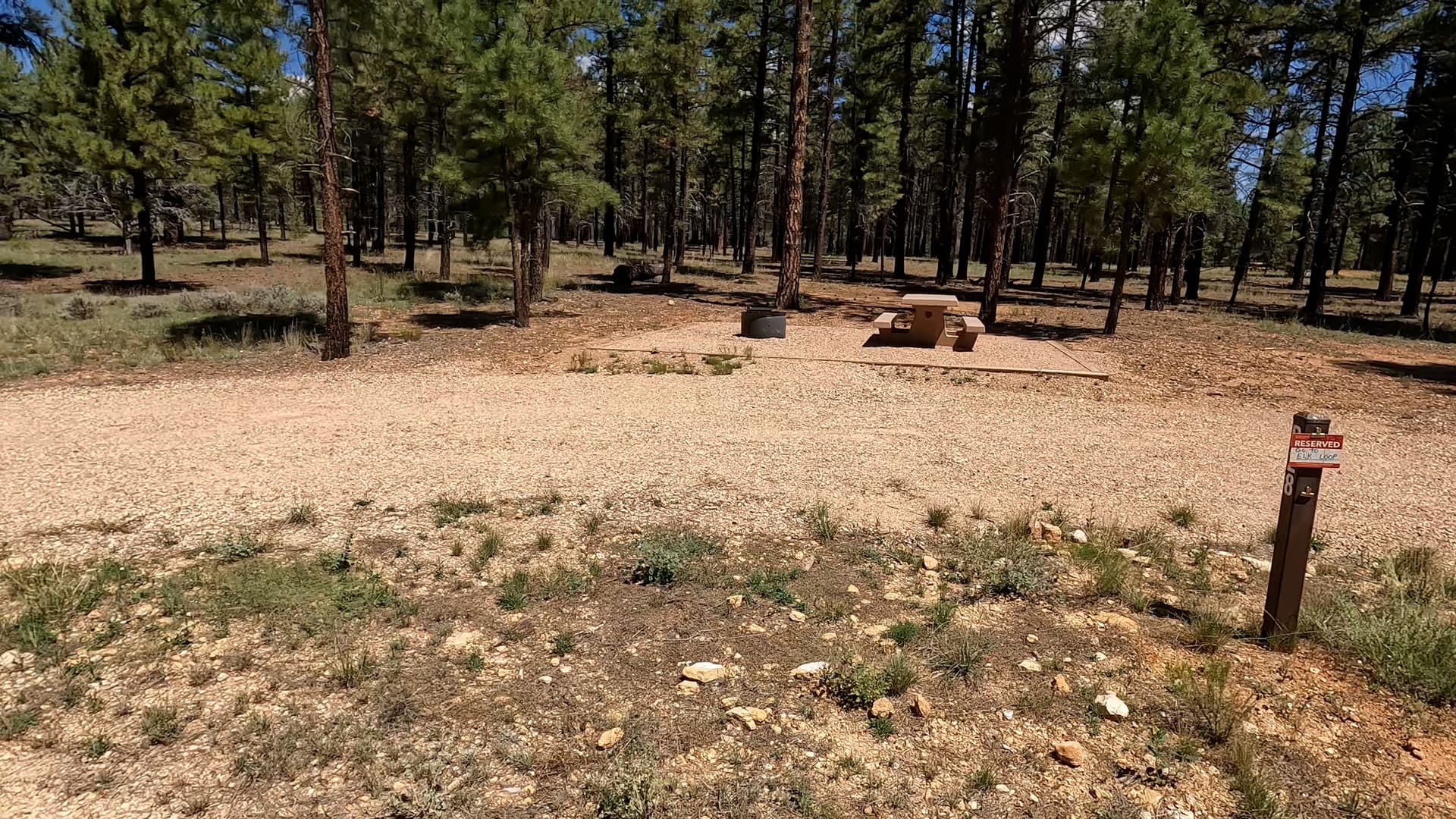 Site P28