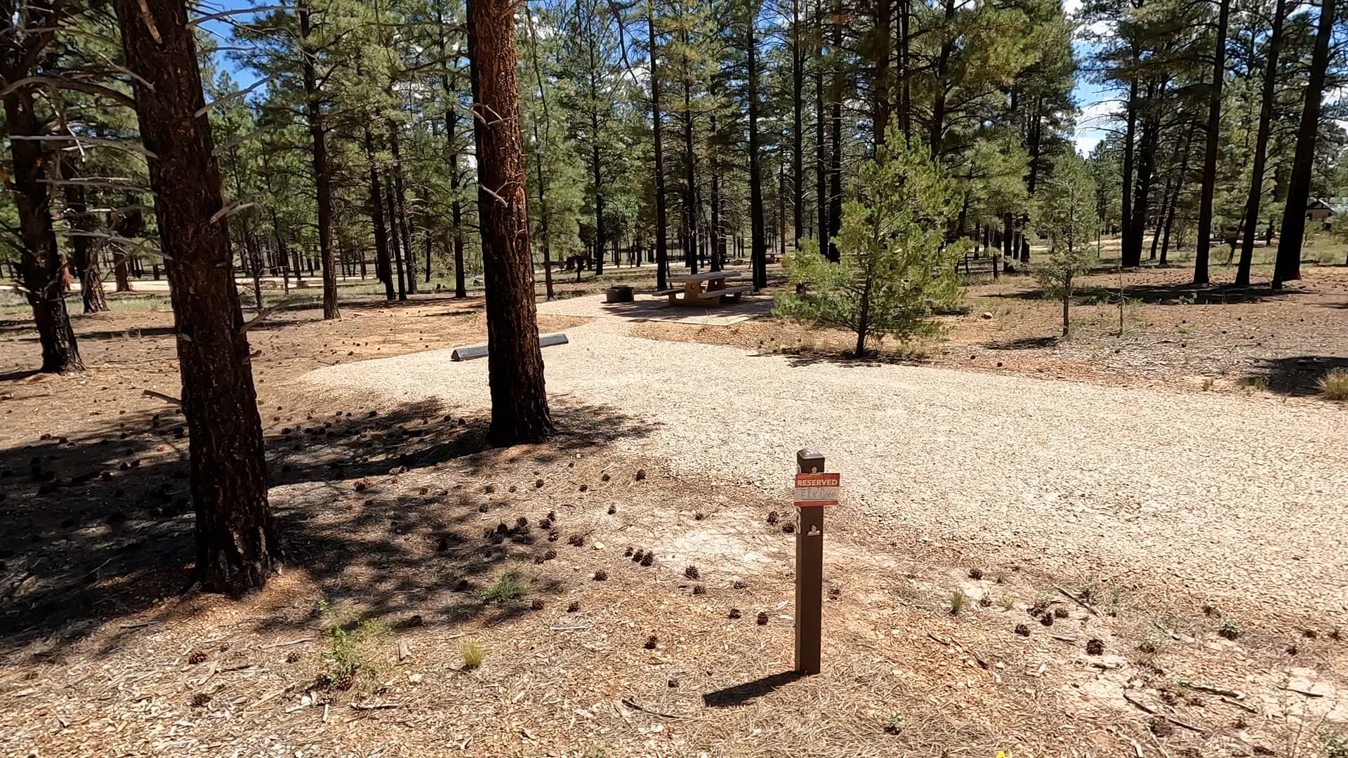 Site P23