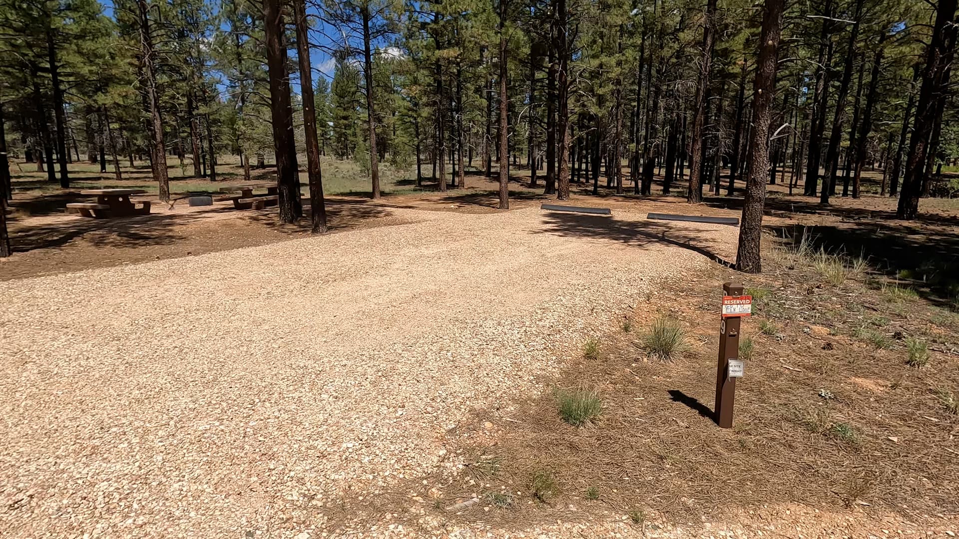 Site P19