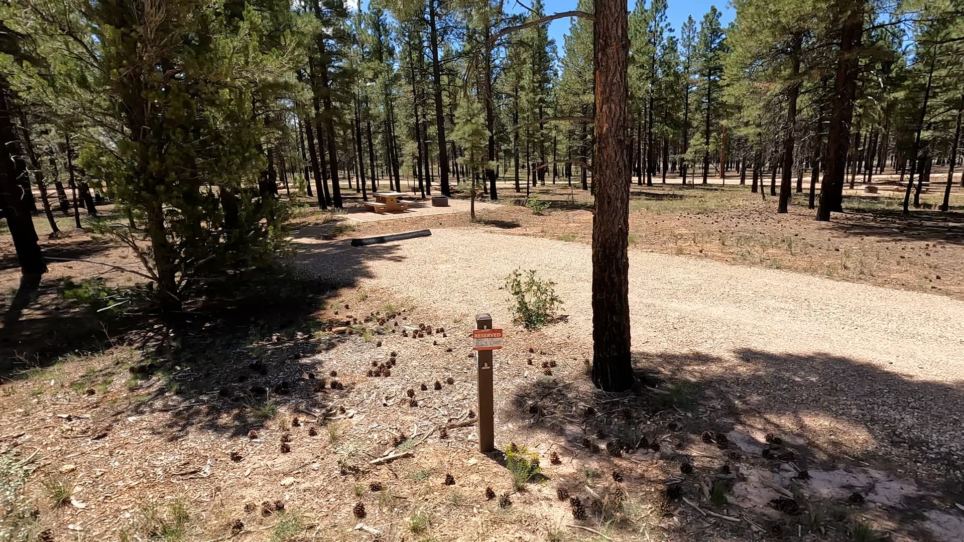 Site P27