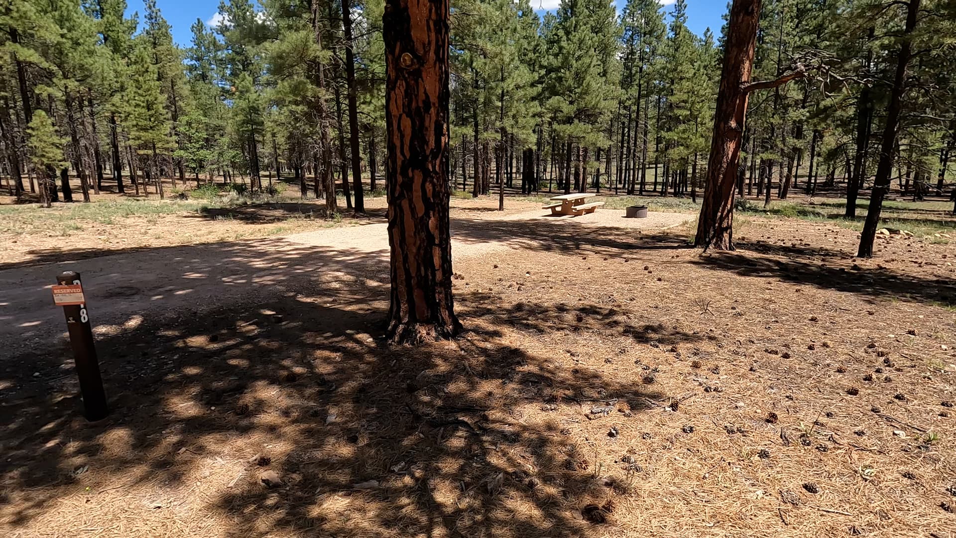 Site P18
