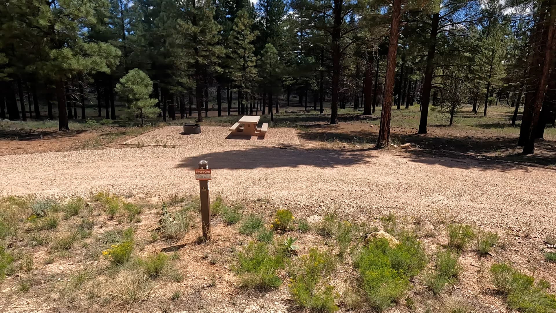 Site P12