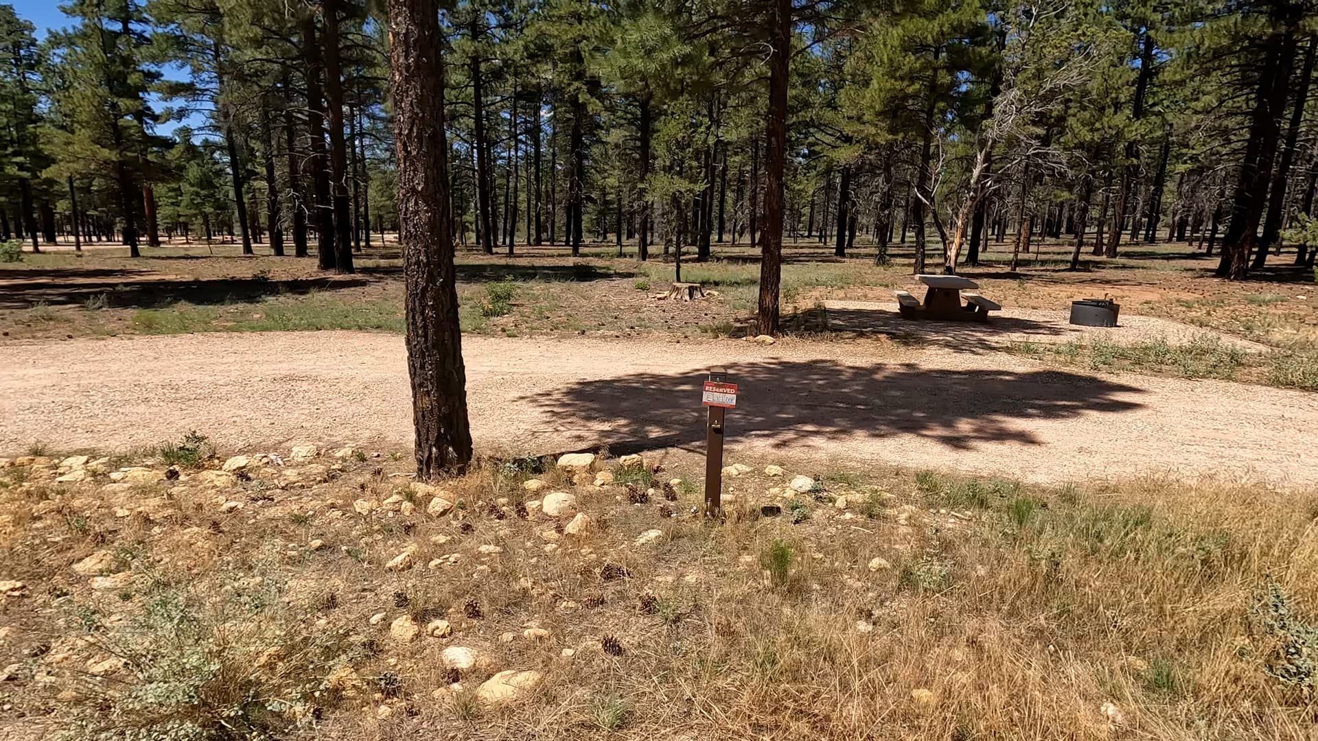 Site P22
