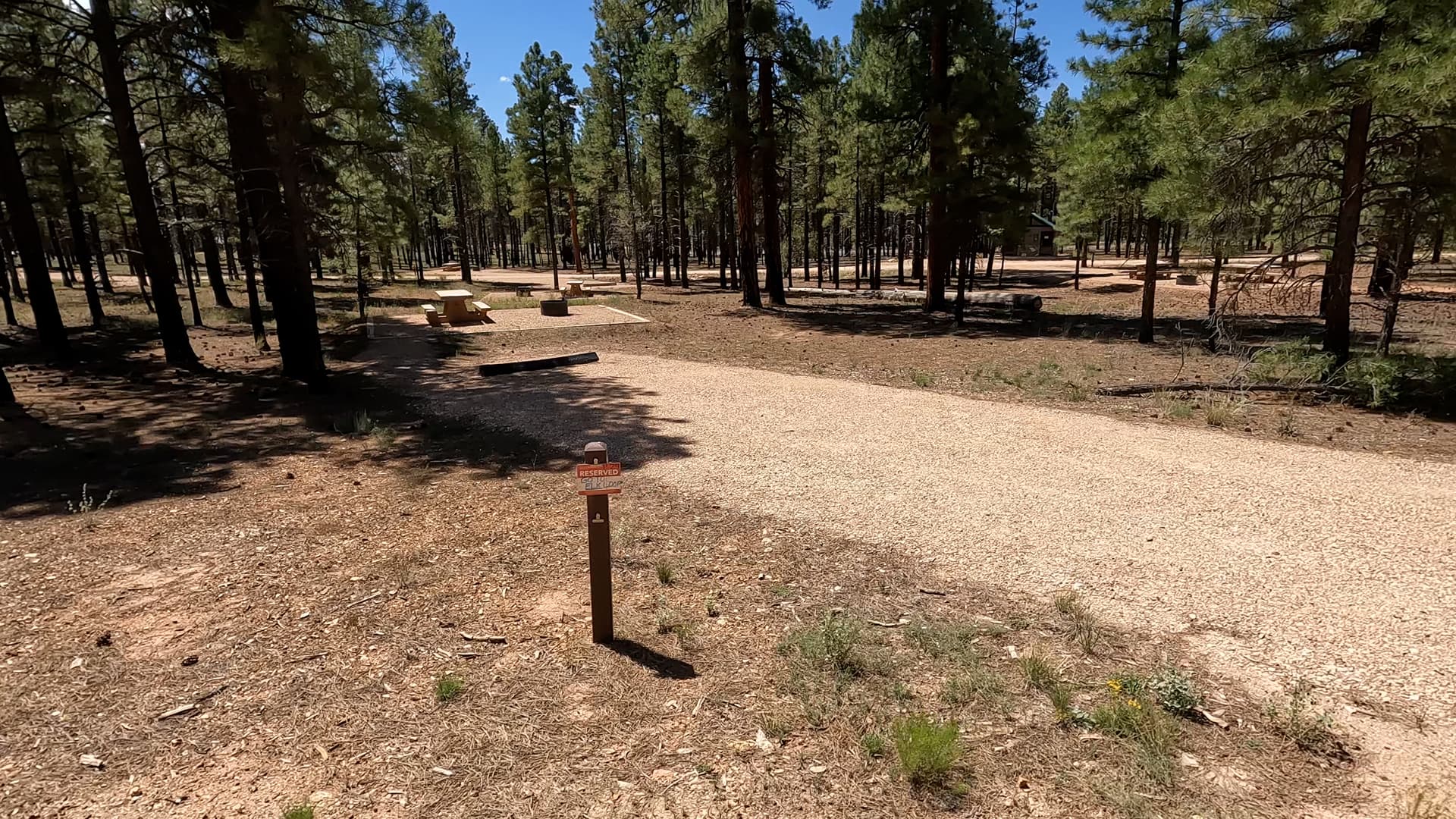Site P29