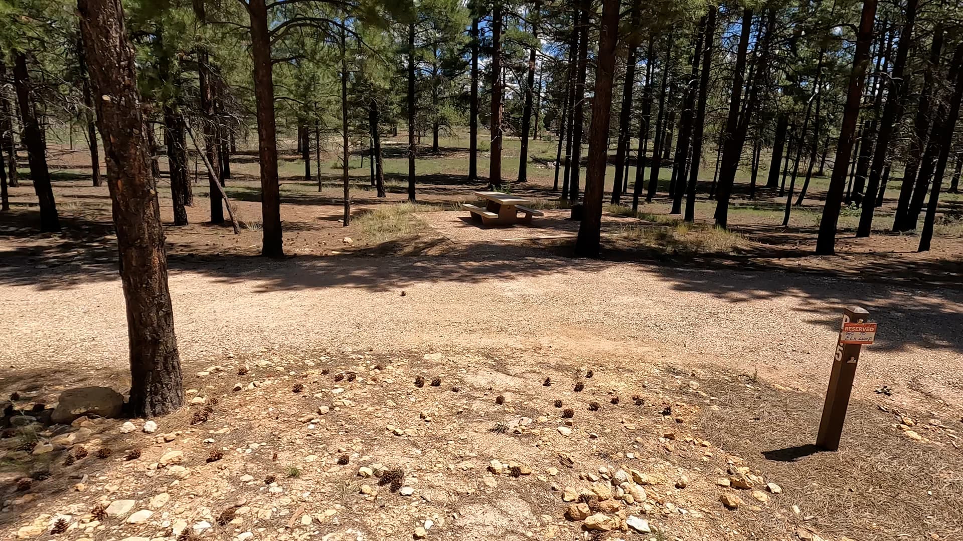 Site P15