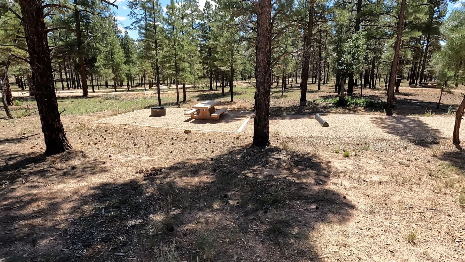 Site P21