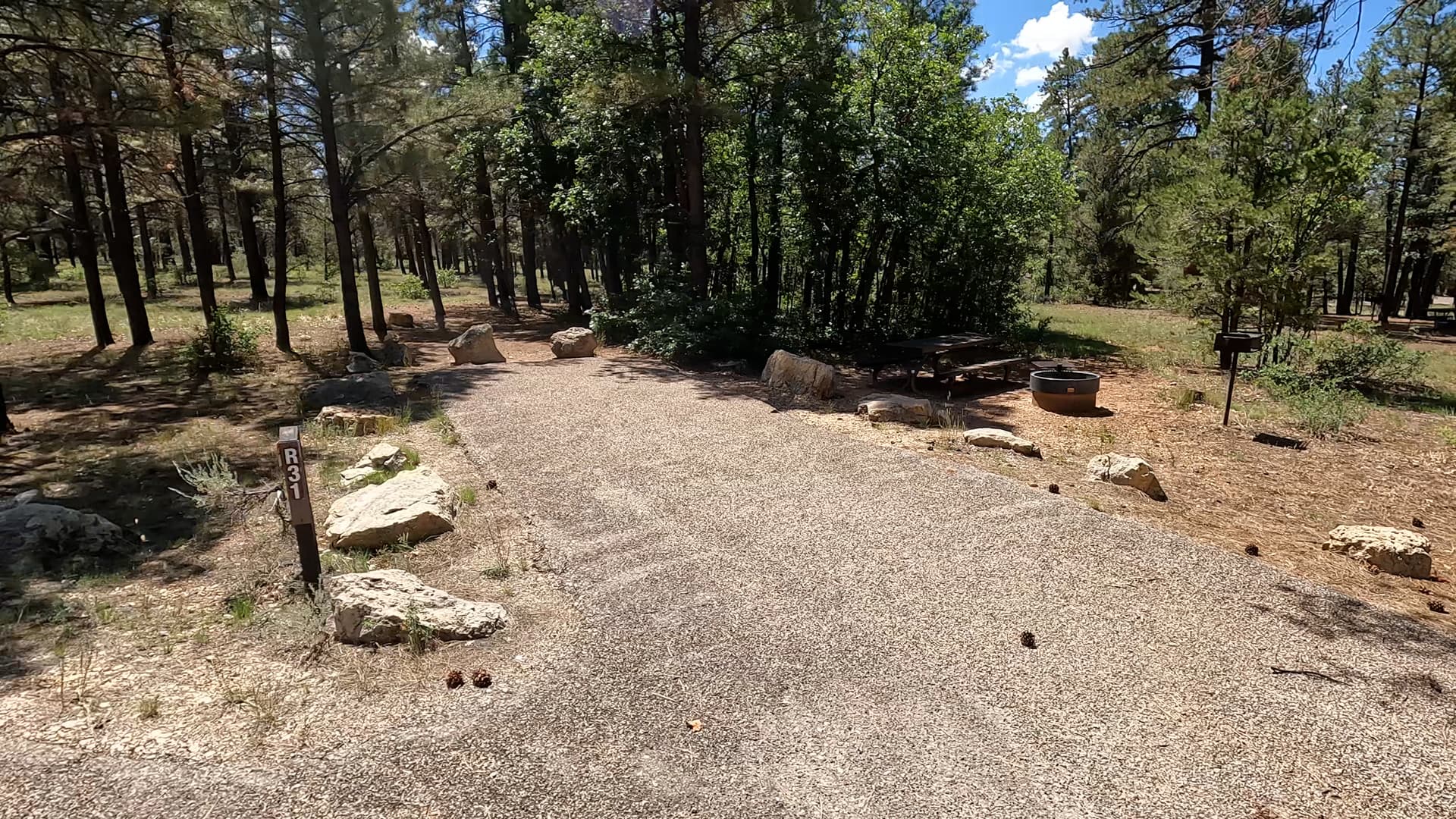 Site R31