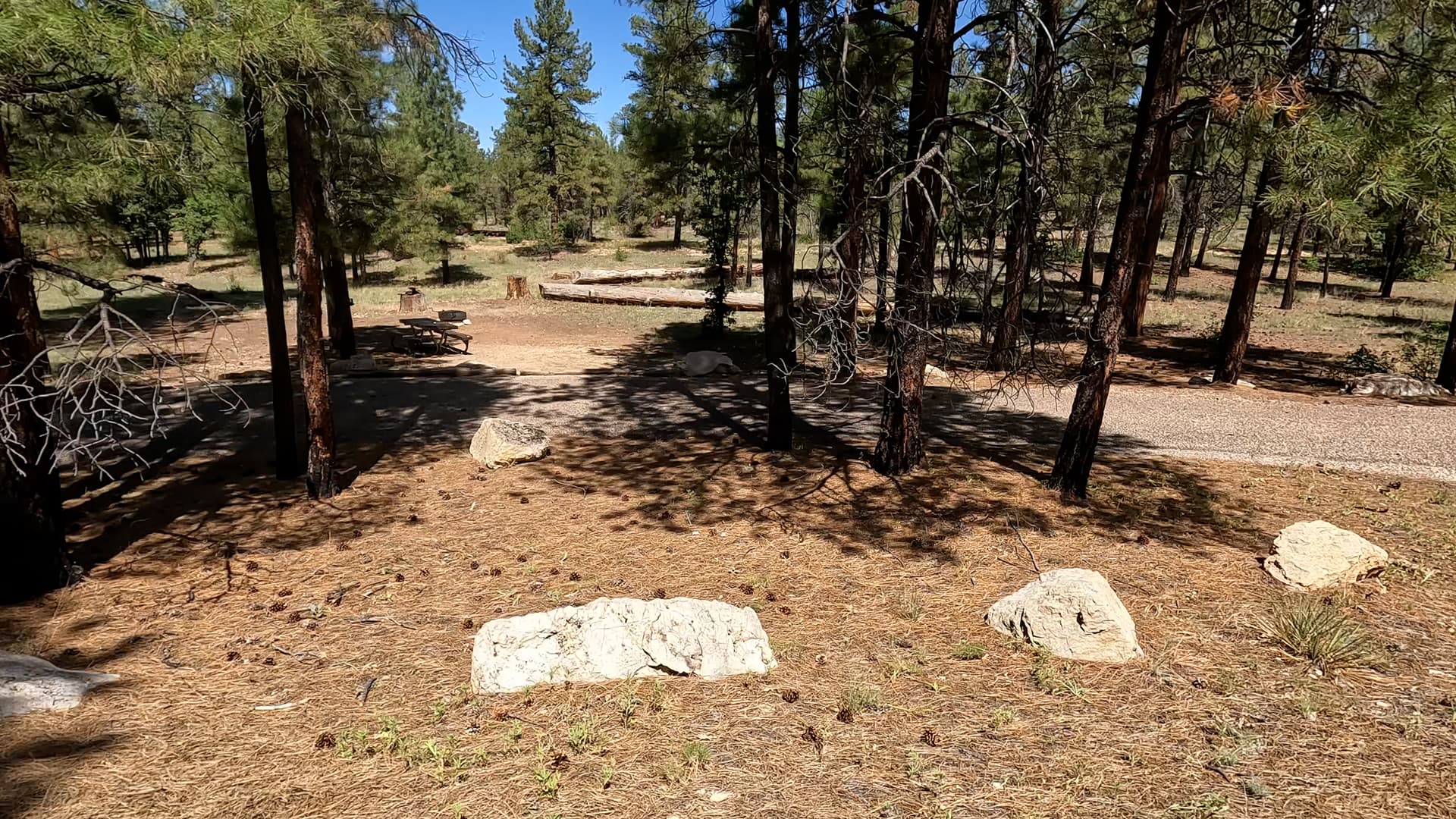 Site R24