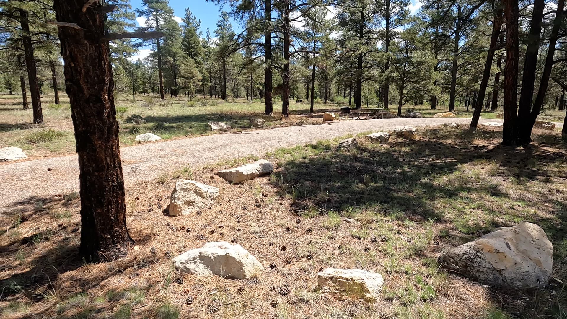 Site S4