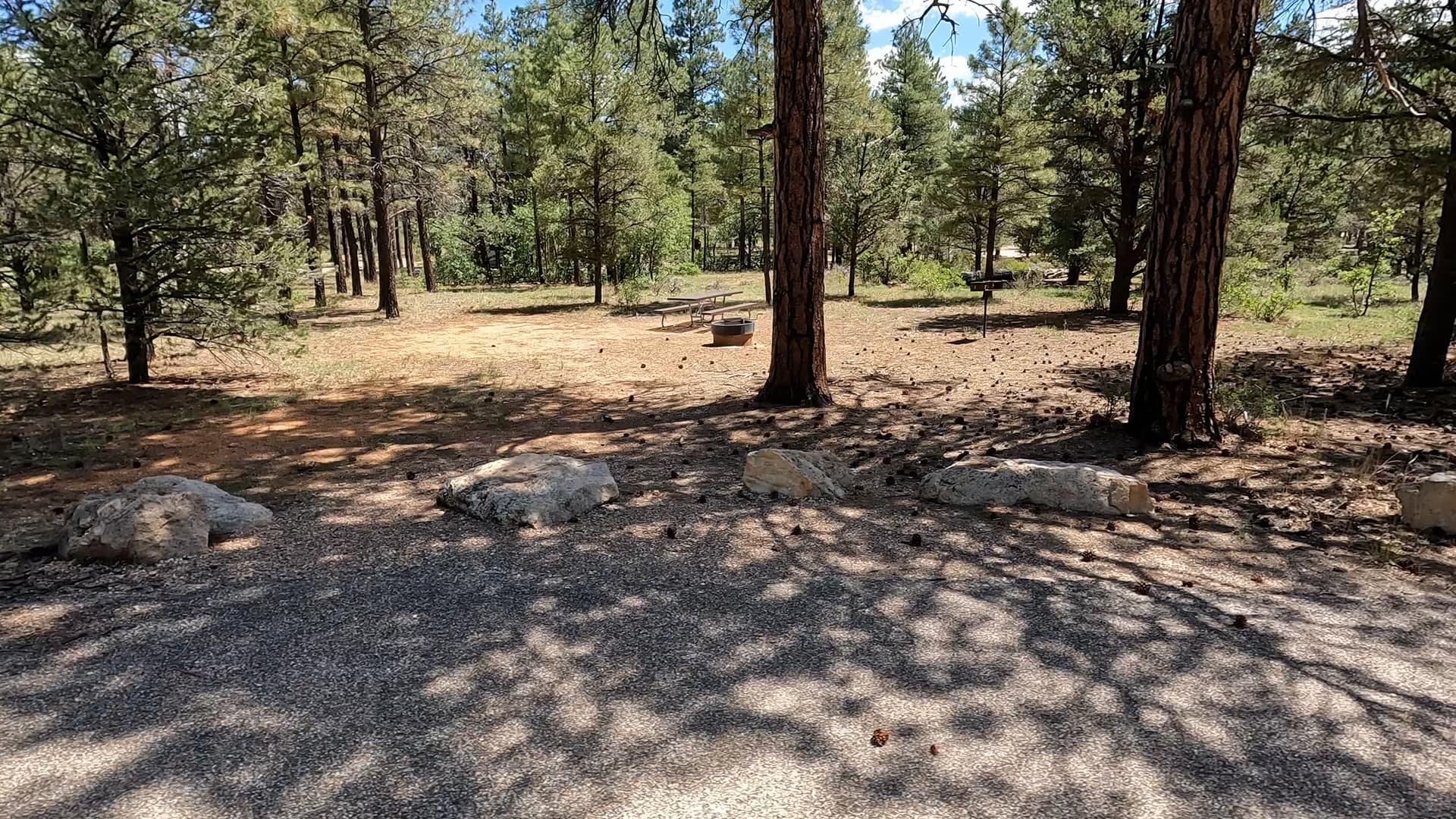 Site R39