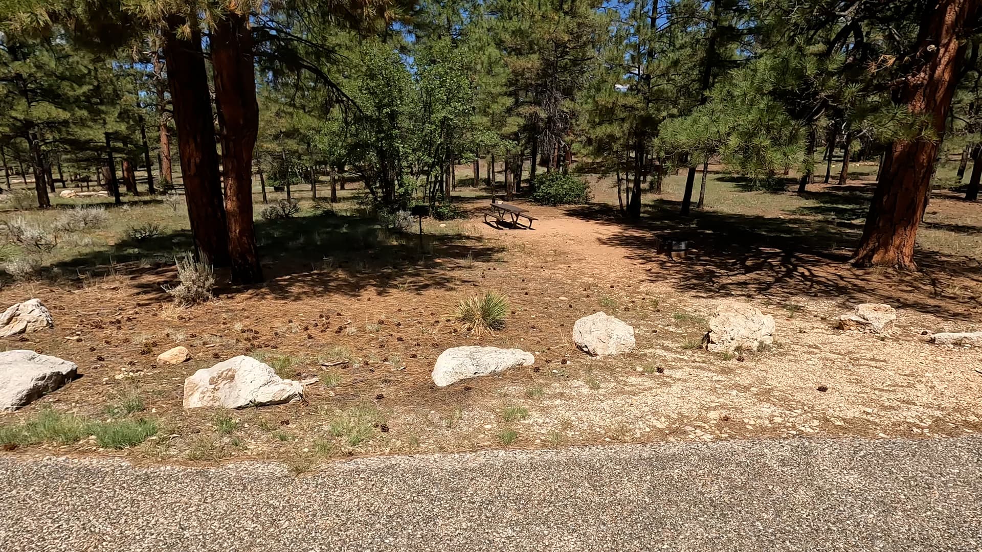 Site R20