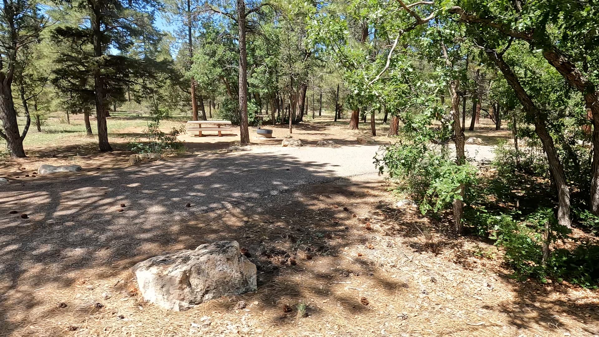 Site R40