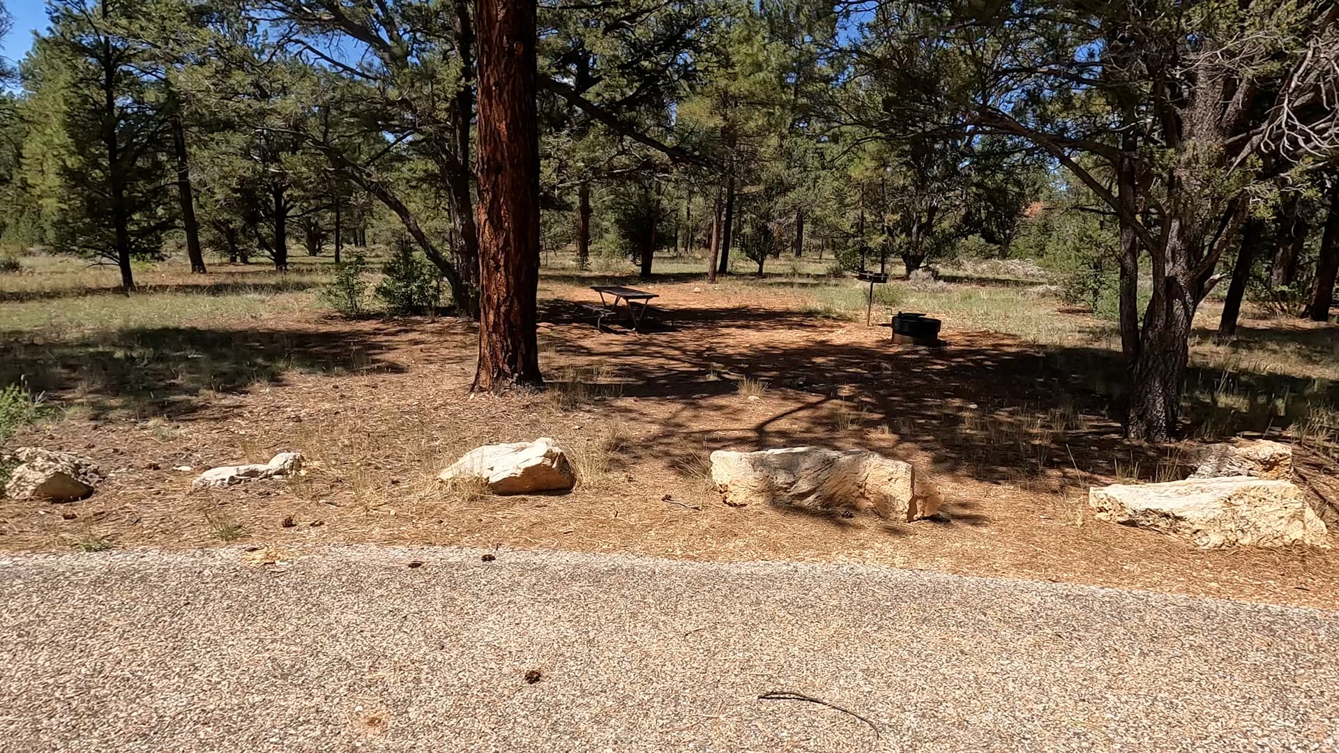 Site R42
