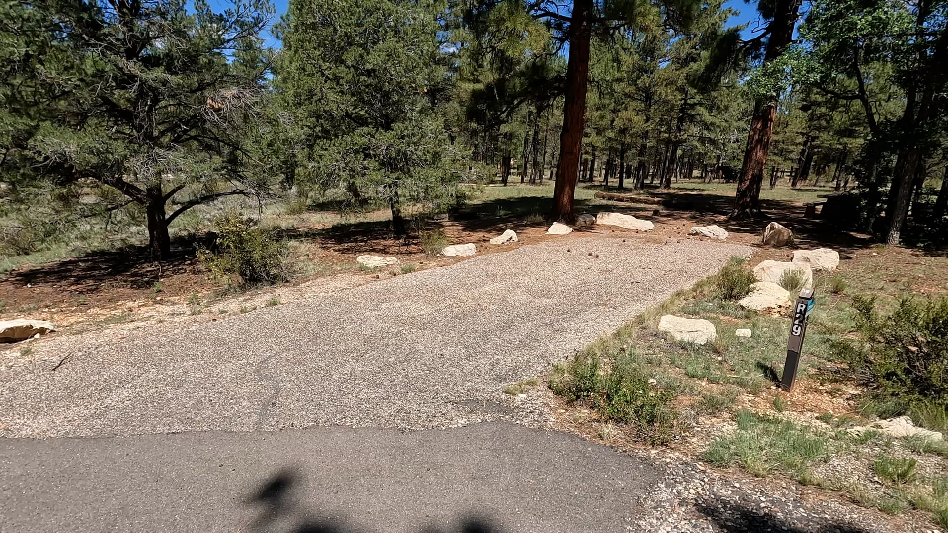 Site R29