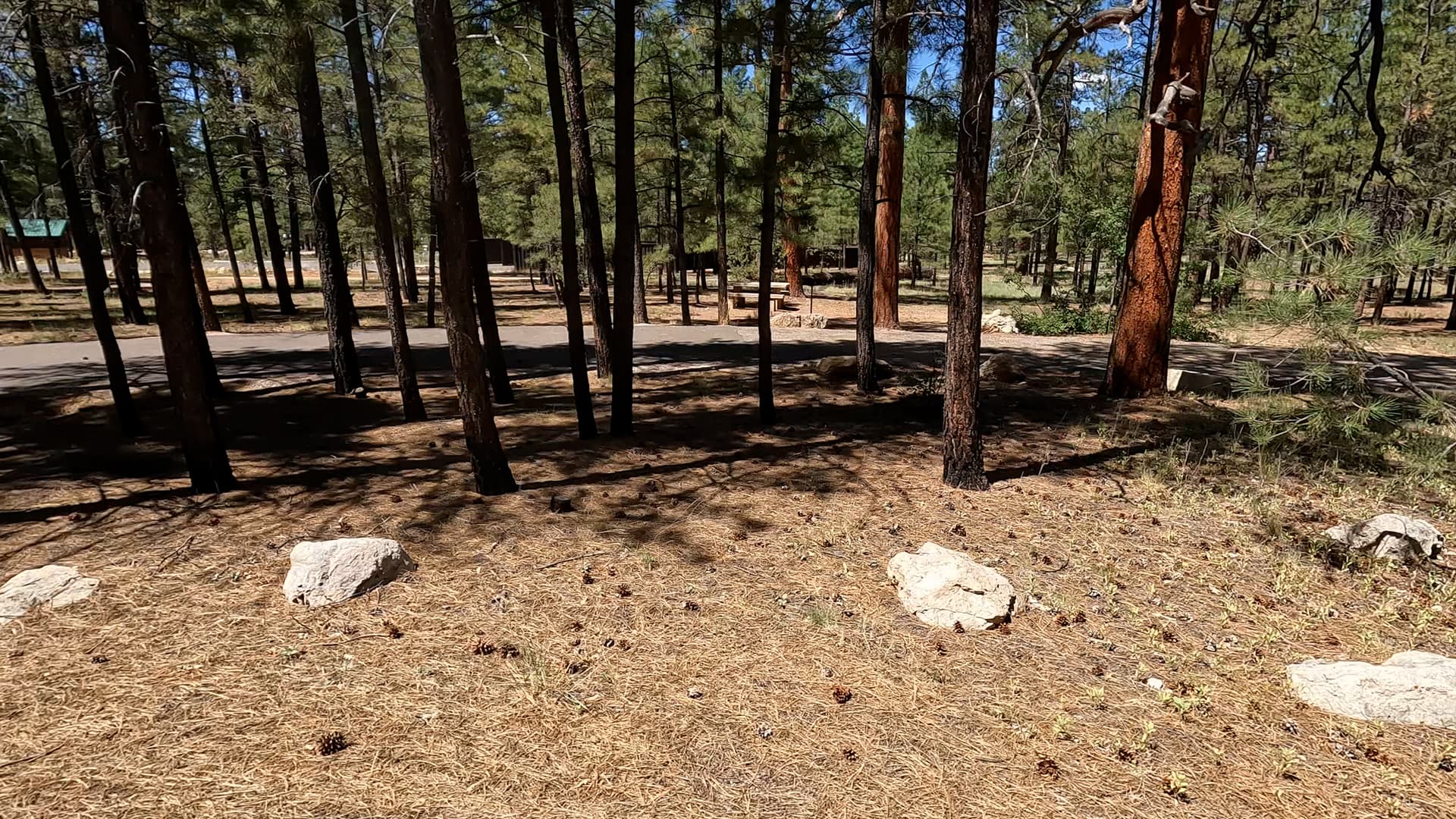 Site S15